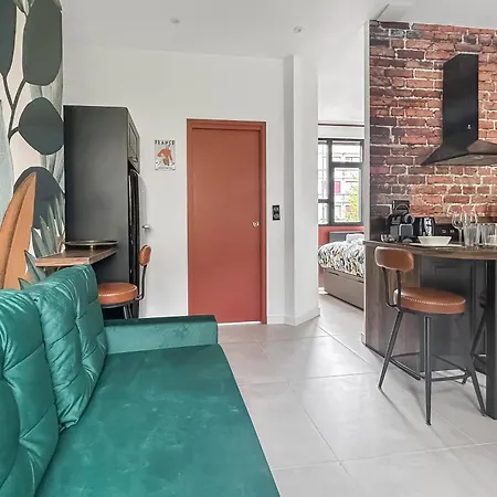 103 1 Elegant Et Lumineux Avec Terrasse Grenoble